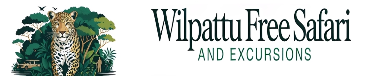 Wilpattu Safari